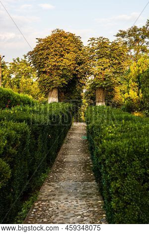 Gardens Of Dealu Monastery (manastirea Dealu) Located On The Hills Of Targoviste Mountains