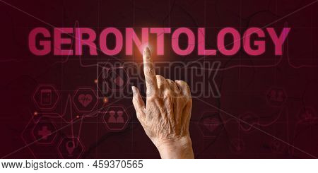 The Hand Of An Elderly Woman Points To The Inscription Gerontology. Concept Of Study Of The Social, 