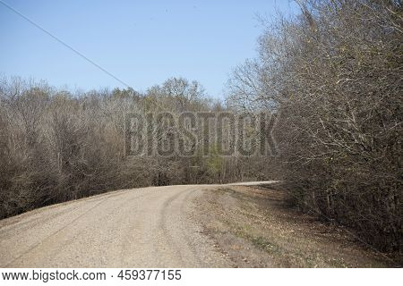 Gravel Road Winding Through A Brushy Area Below A Pretty, Blue Sky
