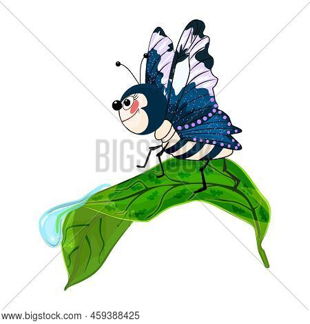 Butterfly On Leaf Isolated On White Background. Cute Cartoon Moth Crawling On Leaf With Dew Drop. Fu