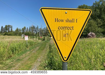 How Shall I Correct It On The Grounds Of Franconia Sculpture Park