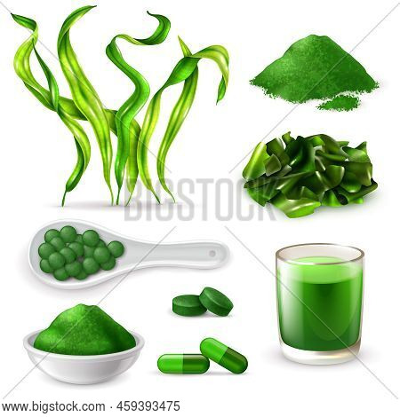 Spirulina Realistic Set With Seaweeds  Supplement Capsules Drink Tablets Green Blue Powder Chopped D