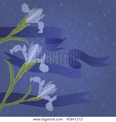 Bandiera blu