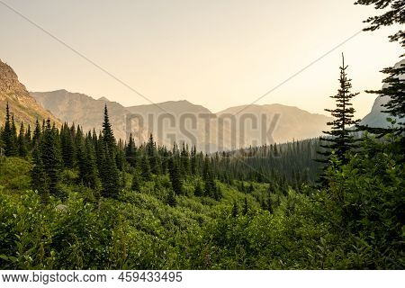 Thin Forest Valley Along Cut Bank Creek Area In Glacier National Park