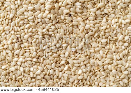 Raw Sesame Seeds Macro Background. Texture Of Organic Benne Grains Closeup. White Til For Healthy Fo