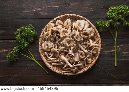 Fresh Edible Mushroom (lentinus Squarrosulus) In Basket On Wooden Background, Organic Food Ingredien