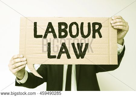 Conceptual Display Labour Law. Business Overview Rules Implemented By The State Between Employers An
