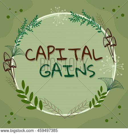 Text Sign Showing Capital Gains. Internet Concept Bonds Shares Stocks Profit Income Tax Investment F