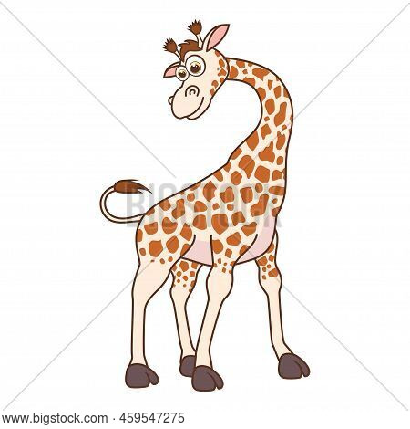 Funny Giraffe. Cute Young Giraffe Isolated On White Background. Zoo Animal Cartoon Character. Educat