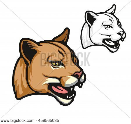 Angry Puma Cartoon Animal Mascot. Roaring American Mountain Lion Wild Cat Head. School Sport Team Pu