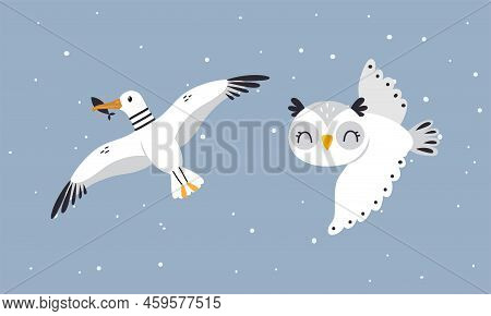 Set Of Cute Wild Polar Animals. Albatros And Owl Birds Vector Illustration