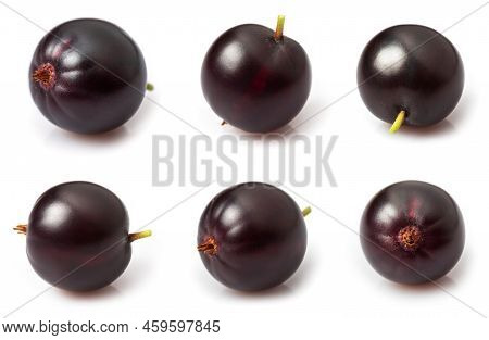 Josta Hybrid Gooseberry And Black Currant Isolated On White Collection.