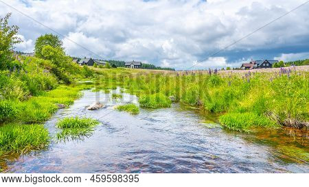 Sunny Evening In Jizerka Village. Idyllic Meadows With Flowering Violet Lupinus And Blue Water In Ji