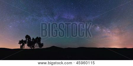 Via Lattea e albero di cotone