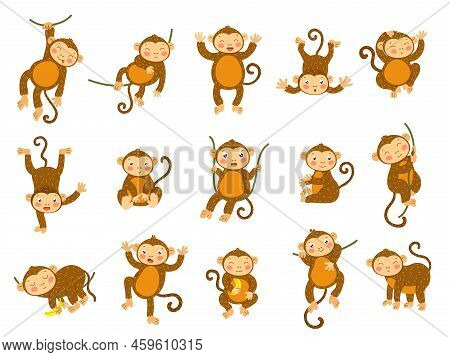 Cute Monkey. Cartoon Wild Animals In Different Poses, Funny Ape Monkeys And Primate Character Vector