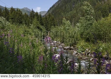 Green Valley, River, Mountain Peaks Against A Blue Cloudy Sky. Summer Mountain Forest Landscape. Rac