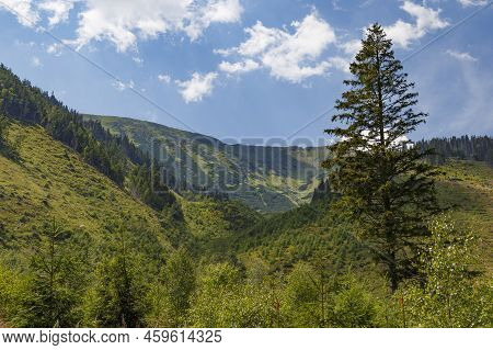 Green Valley, Mountain Peaks Against A Blue Cloudy Sky. Summer Mountain Forest Landscape. Rackova Va