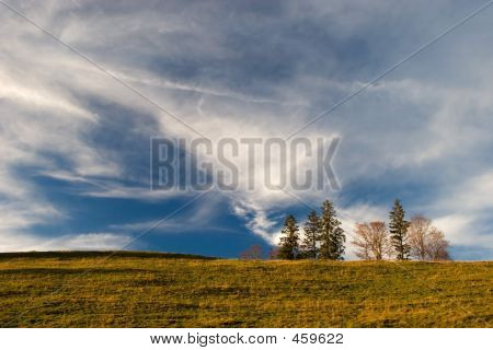 gelb-Feld