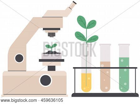 Scientist Makes Laboratory Analysis Of Life System And Organisms. Idea Of Education, Botany, Microbi