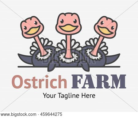Creative Funny Logo With Three Curious Ostriches. Ostrich Farm Sign. Camel Birds Illustration.