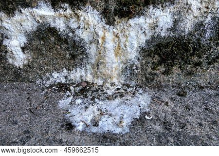 White Substance Oozing From Concrete Steps, Caused By Salts Leeching Through Damp Concrete. Can Be S