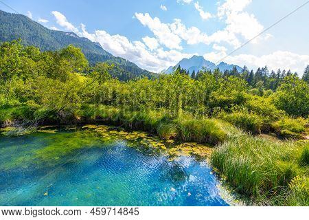 Zelenci Nature Reserve - Blue Natural Lake And Source Of The Sava Dolinka River Near Kranjska Gora, 