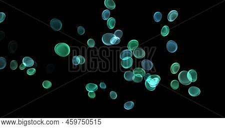 Blood Cells, Erythrocytes, Red Blood Cells, Microbes And Microorganisms, Medicine And Biology, Blood