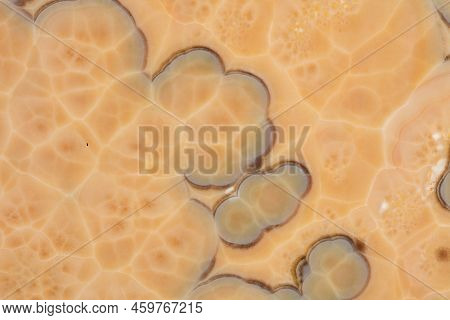 Onice Nuvolato Background, Texture In Stylish Beige Color For Interior.