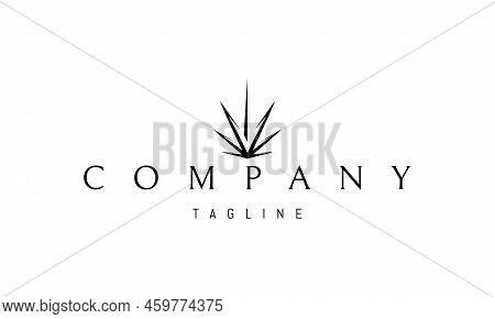 Vector Logo On Which An Abstract Image Of Cannabis Leaves In The Shape Of A Star.