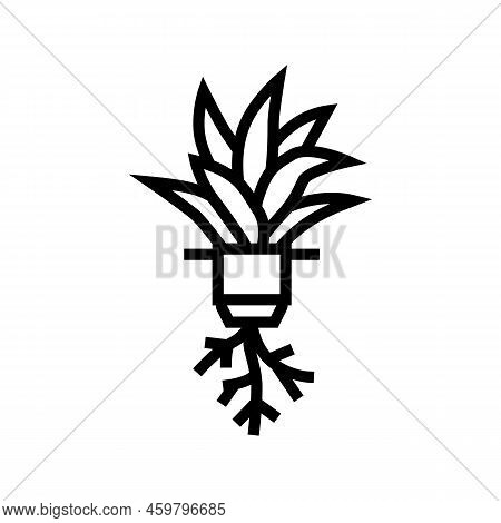 Plant Hydroponics Water Irrigation Line Icon Vector. Plant Hydroponics Water Irrigation Sign. Isolat