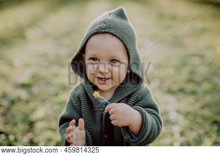 Portrait Of Cute Little Boy Wearing Knitted Hoodie In Nautre, Autumn Concept.