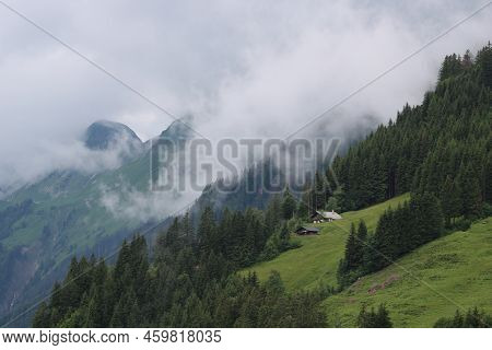 Farm House, Pine Forest And Mountain Ridge Seen From Planalp, Brienz.