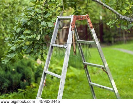 A Steel Multipurpose Telescoping Ladder In Orchard, Outdoor Sgot