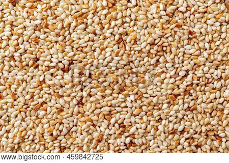 Roasted Sesame Seeds Macro Background. Texture Of Toasted Sesamum Indicum Closeup. Organic Benne See