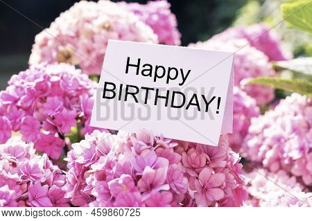 Happy Birthday Text Written On White Card With Pink Blooming Hydrange Flower, Greeting Card.