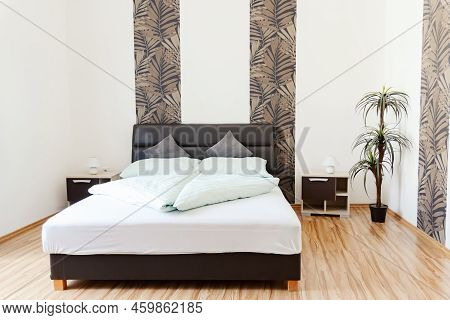 Modern Hotel Room With A Beautiful Plant