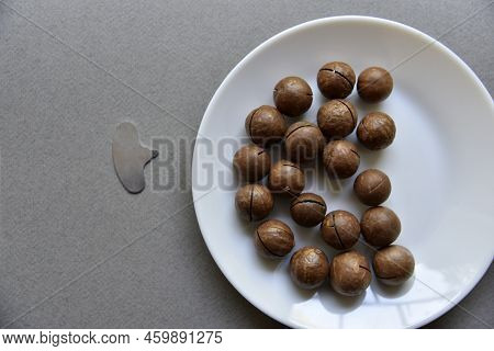 Macadamia Nut In A Dish With A Bottle Opener On A Gray Background. Macadamia Nut Prepared For Use In