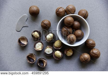 Macadamia Nut In A Dish With A Bottle Opener On A Gray Background. Macadamia Nut Prepared For Use In