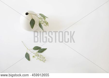 Delicate Eucalyptus Branches In A Small White Round Vase On The Left Side Of The Frame, With White B