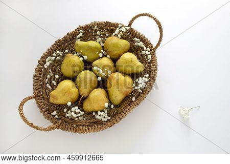 Top View Of The Flat Woven Basket With Yellow Barlett Pears And Delicate White Flowers On White Back