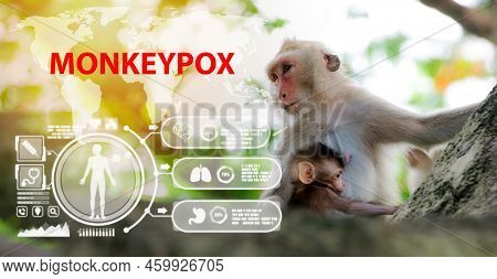 Monkeypox New Disease Dangerous. Symptom Monkeypox Cell With Wild Monkey Animal Mpxv Virus, Sexual H