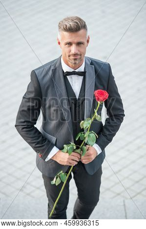 Elegant Man In Tux. Man Wearing Tux Suit Outside. Grizzled Tux Man With Red Rose