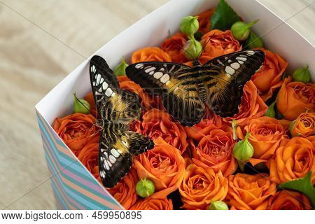 Lovely Tropical Butterflies In A Box Of Roses. Orange Roses And Butterflies. Unusual And Stylish Bou