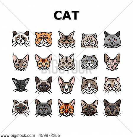 Cat Cute Pet Animal Kitten Funny Icons Set Vector. Kitty Happy Character, Face Portrait, Fun Silhoue
