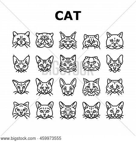 Cat Cute Pet Animal Kitten Funny Icons Set Vector. Kitty Happy Character, Face Portrait, Fun Silhoue
