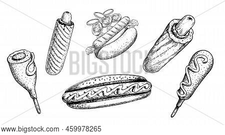 Hot Dog In Sketch Style Collection. Classic, French Hot Dog And Corn Dog. Hand Drawn Vintage Style. 