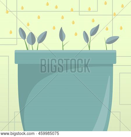 Flower Vase With Herbs Watered By Drops From Top. Liquid Being Poured Over Large Plant Pot. Fresh Gr