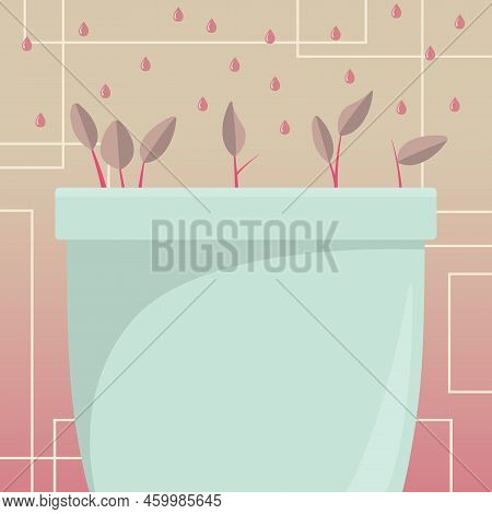 Flower Vase With Herbs Watered By Drops From Top. Liquid Being Poured Over Large Plant Pot. Fresh Gr