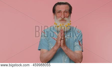 Please, God Help. Senior Man With Flowers In Gray-haired Beard Praying, Looking Upward And Making Wi