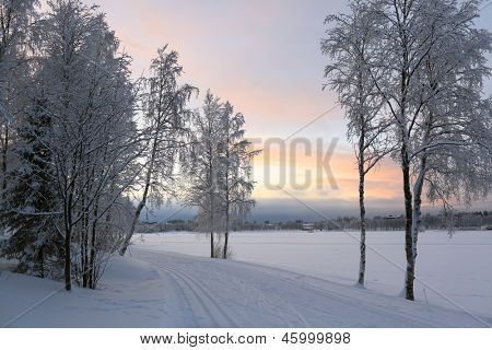 Winterlandschaft in Kuusamo, Finnland